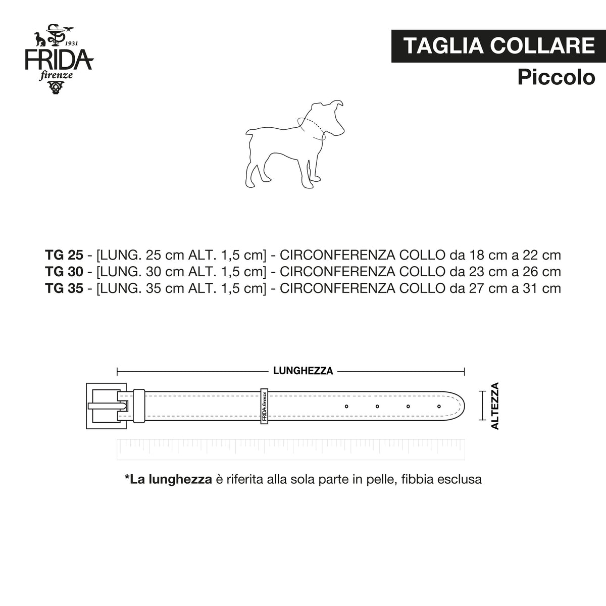 Collare Screw Sun