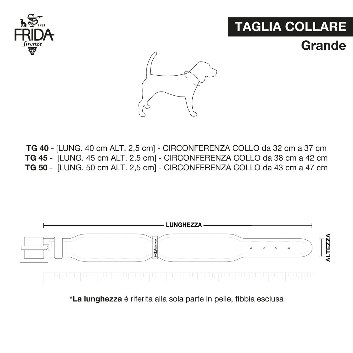 Stud Star Collar Cloud