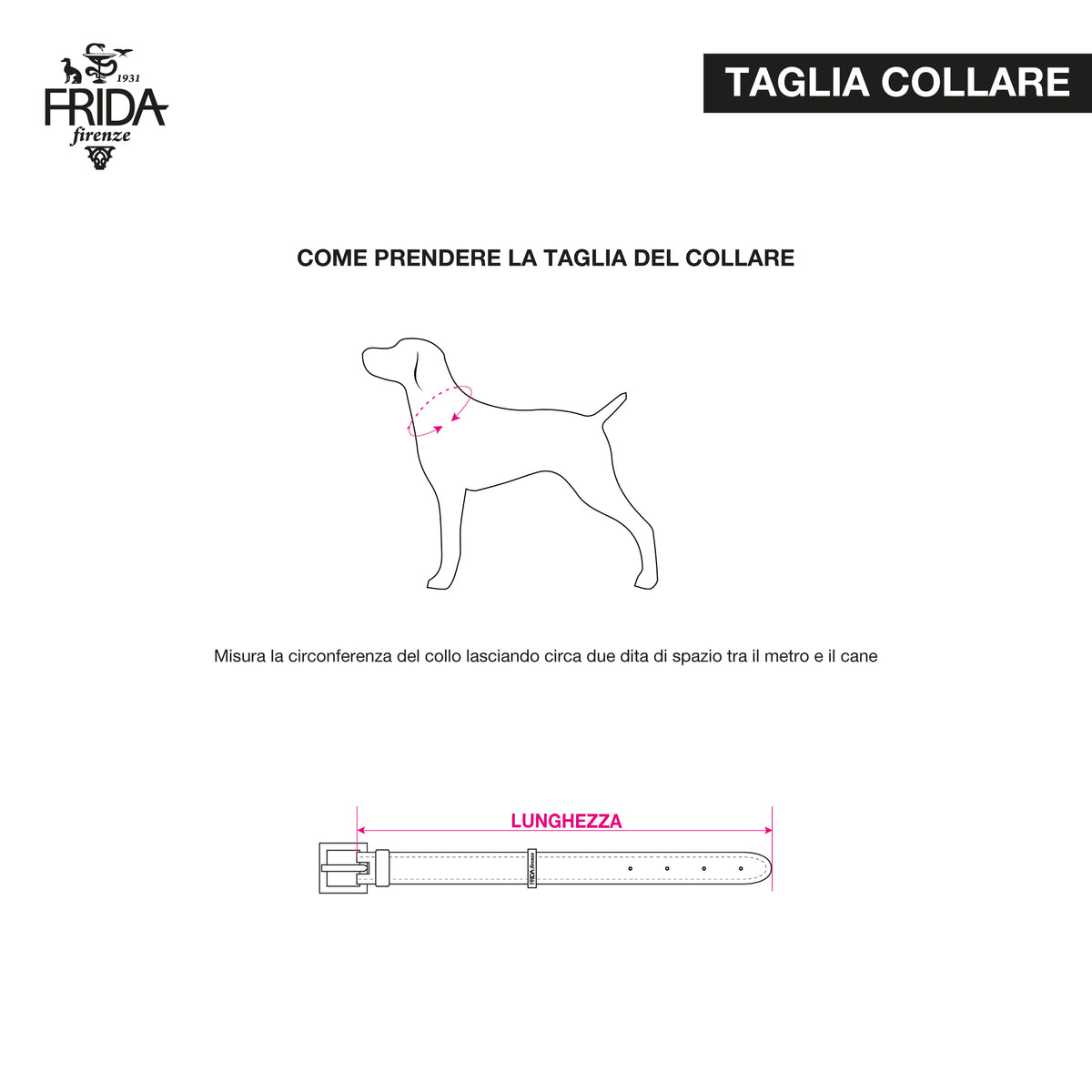 Stud Star Collar Pink