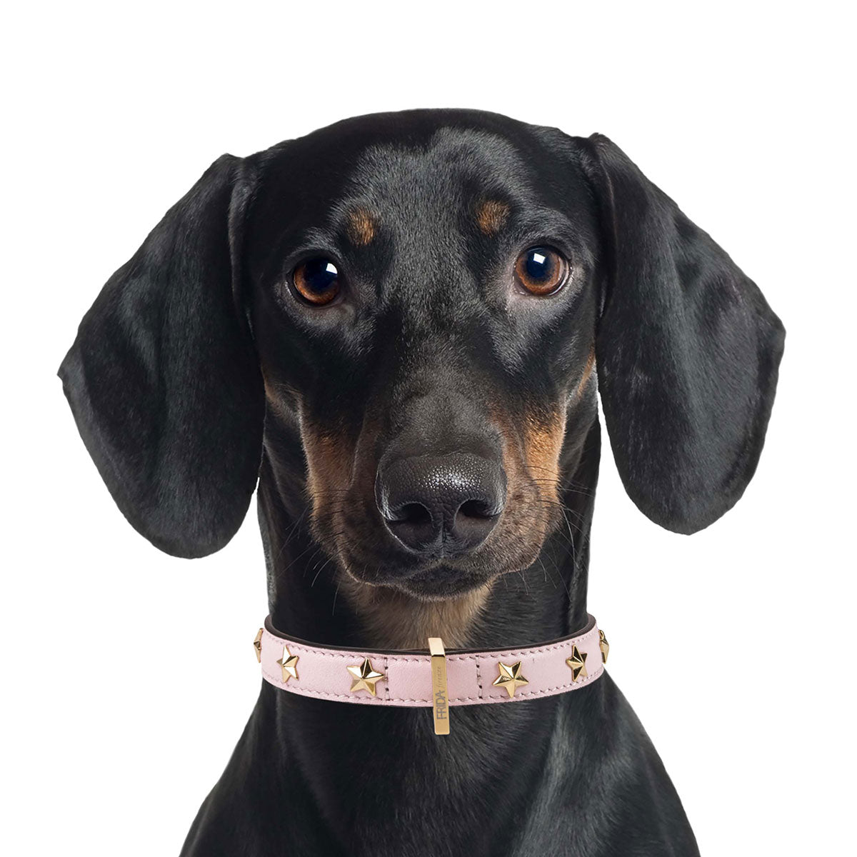 Collare Stud Star Pink