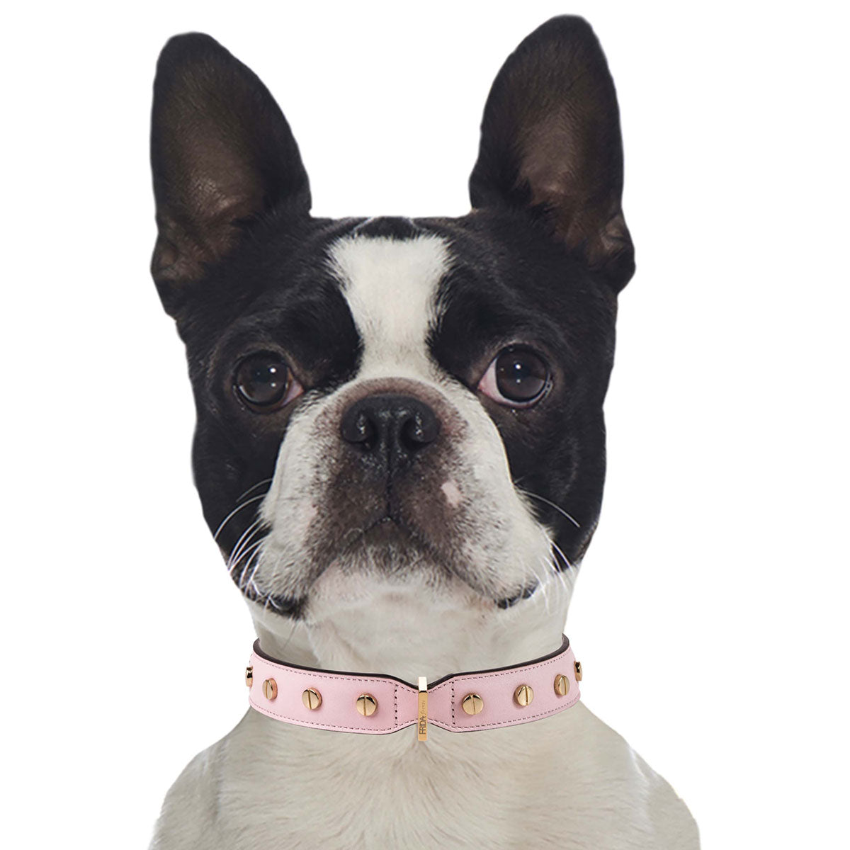 Stud Screw Collar Pink